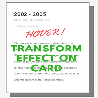 Hover Transform Effect on Card