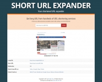 Short URL Expander PHP Script Screenshot 2
