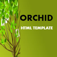 Orchid - HTML Template