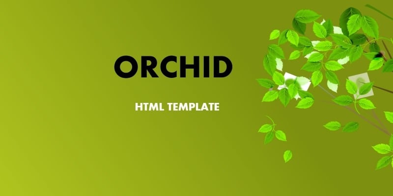 Orchid - HTML Template
