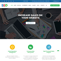 SEO - SEO And Digital Marketing Agency Template