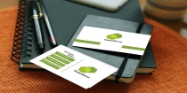 GreenEnvo - Business Card Template Screenshot 2