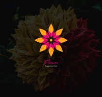 Flower Logo Template Screenshot 3