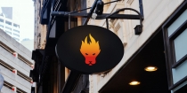 Wild Fire - Logo Template Screenshot 2