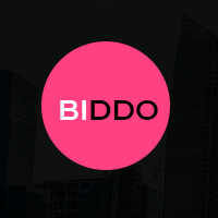 Biddo - One Page Portfolio WordPress Theme