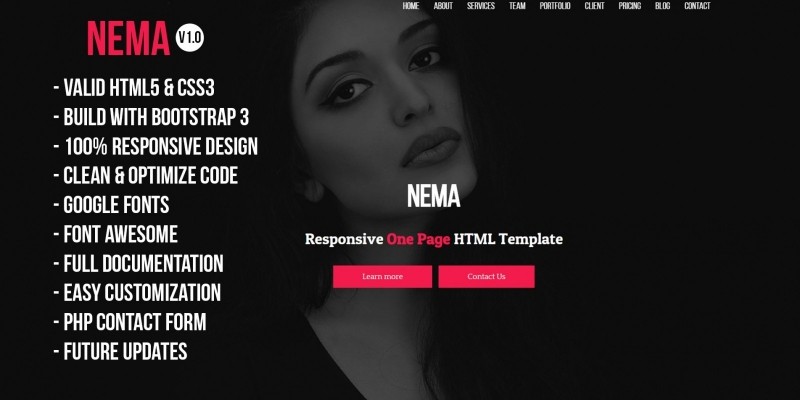 Nema - One Page Multipurpose HTML Template