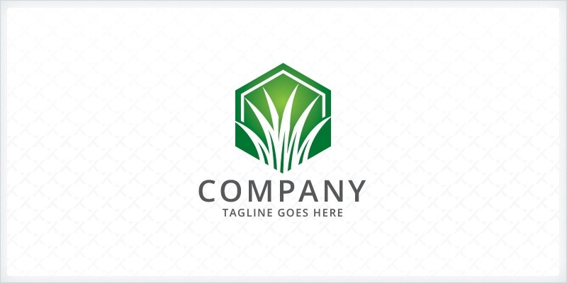 Lawn Care  Logo