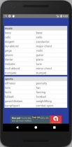 WordCard - Android template Screenshot 6