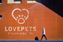 Love Pets Logo Screenshot 1
