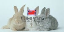 Rabbit Logo Screenshot 1