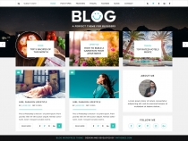 VW Blog Pro - WordPress Theme Screenshot 1