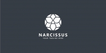 Narcissus Logo Screenshot 2