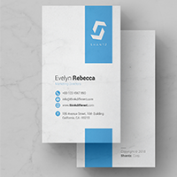 Professional Business Card Vol 04