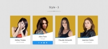 Bootstrap Team Member Showcase Screenshot 3