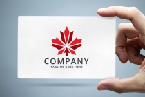 Maple Leaf Logo Screenshot 1