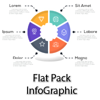 Flat Pack Infographics