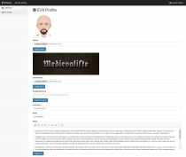 Streamy - Twitch Web Stream PHP Script Screenshot 3