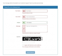 BotIdentify ContactForm .NET Screenshot 2