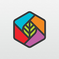 Leaf Box Logo