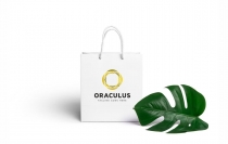 Oraculus O Letter Logo Screenshot 2