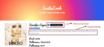 InstaLook - Instagram Profile Lookup Script Screenshot 4