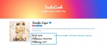 InstaLook - Instagram Profile Lookup Script Screenshot 6