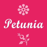 Petunia -Fashion Store Website Template