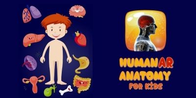 HumanAR Anatomy for Kids - iOS Source Code
