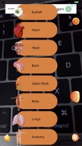 HumanAR Anatomy for Kids - iOS Source Code Screenshot 6