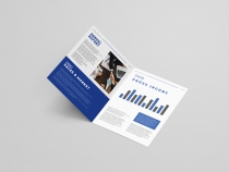 Bi-Fold Corporate Brochure Annual Report - A4 Screenshot 3