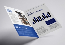 Bi-Fold Corporate Brochure Annual Report - A4 Screenshot 6