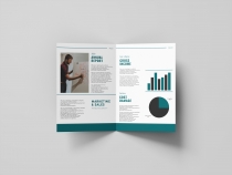 Bi-Fold Corporate Brochure Annual Report - A4 Screenshot 8