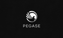 Pegase Logo Template Screenshot 2