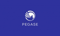 Pegase Logo Template Screenshot 3