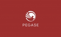 Pegase Logo Template Screenshot 4