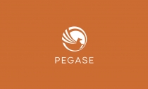 Pegase Logo Template Screenshot 5