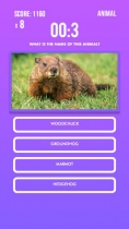 Trivia Engine - A Buildbox 3 Trivia Quiz Engine Screenshot 9