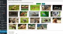FullScreen Images and Videos Gallery for WordPress Screenshot 2