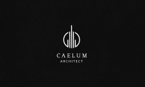 Caelum Logo Template Screenshot 2