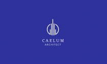 Caelum Logo Template Screenshot 3