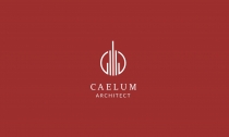 Caelum Logo Template Screenshot 4