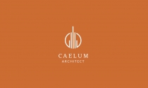 Caelum Logo Template Screenshot 5