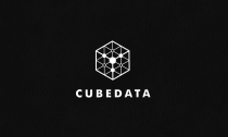 Cube Data Logo Template Screenshot 2
