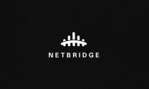 Netbridge Logo Template Screenshot 2