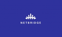Netbridge Logo Template Screenshot 3