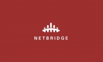 Netbridge Logo Template Screenshot 4