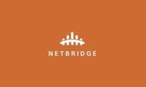 Netbridge Logo Template Screenshot 5