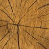 wood-textures-patterns-different-colours