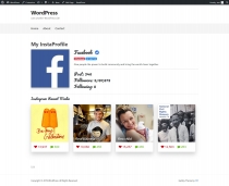 InstaLook WordPress Plugin Screenshot 2