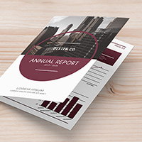 Bi-Fold Corporate Brochure Annual Report – A4